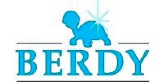 Berdy