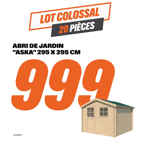 Abri de jardin 295 x 295 cm