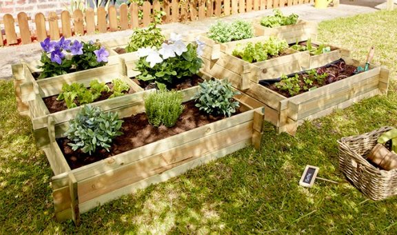 Moestuin bestaande uit moestuinbakken