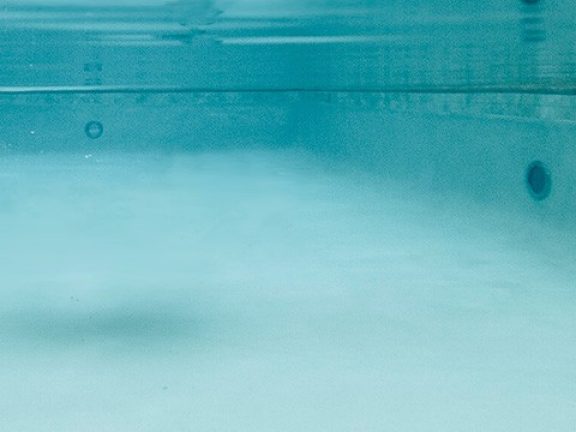 Eau de piscine trouble