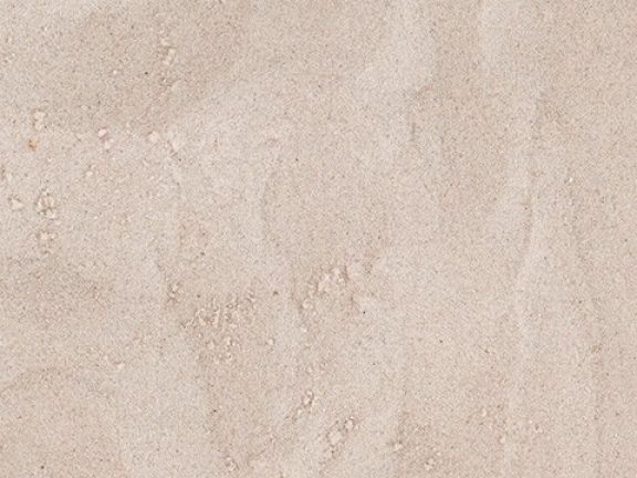 [AI] Zand