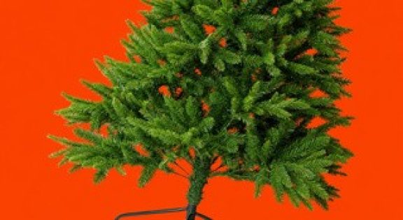 kerstbomen